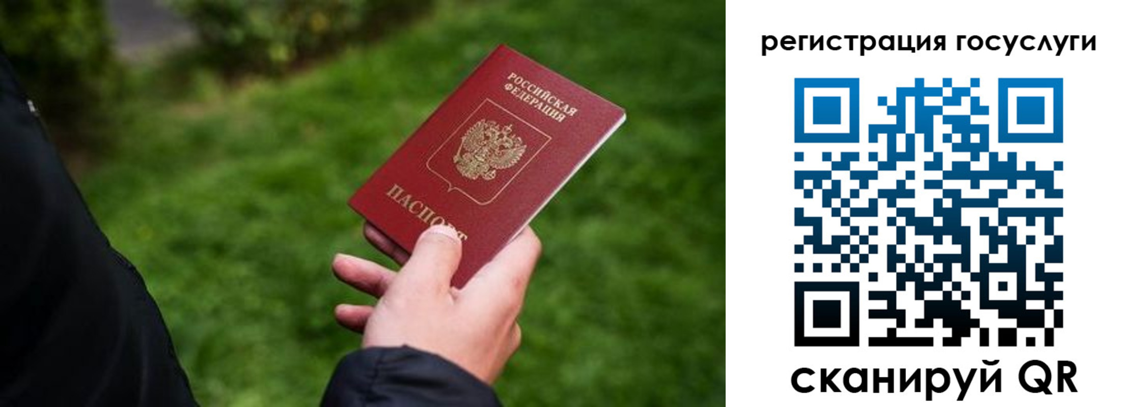 прописка в Жирновске